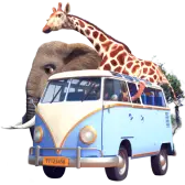 Safari Park
