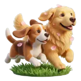 Dog Park