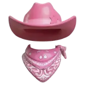 Pink Cowboy