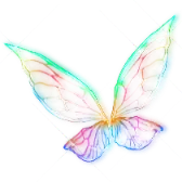 Colorful Wings
