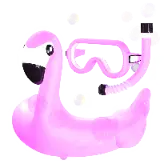 Flamingo Groove