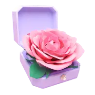 Carnation