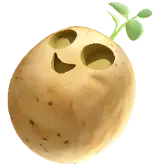Potato Transformation