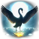 Black Swan