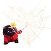 Spider Web