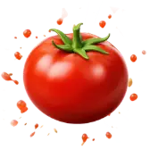 Tomato Burst
