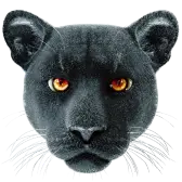 Panther