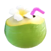 Coconut Drink